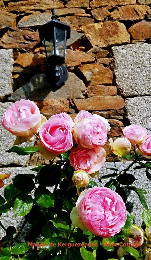 Rose Cottage Pontrieux Exterior photo